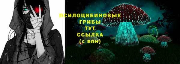 ECSTASY Алексин