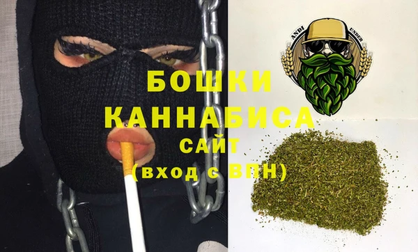 прущие грибы Козловка