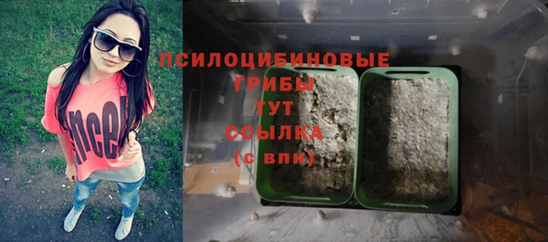 дурь Гусь-Хрустальный
