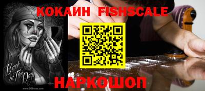 крисы Коммунар