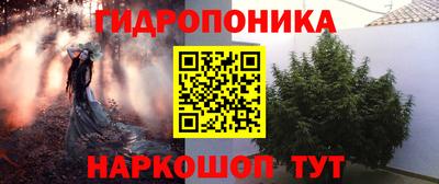 крисы Коммунар