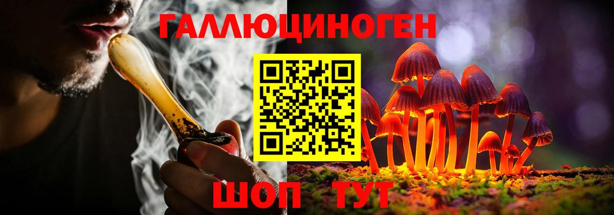 Глазов  Псилоцибиновые грибы Magic Shrooms  Вход с VPN 
